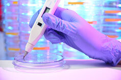 A close-up of a purple-gloved hand holding an instrument that's examining a petri dish.